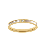 Photo de Stainless Steel Ring IPG