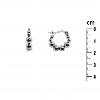Photo de Stainless Steel Earrings