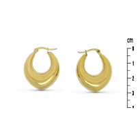 Photo de Stainless Steel Earrings IP Gold