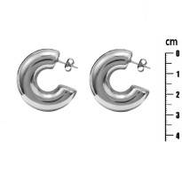 Photo of Stainless Steel Earrings 