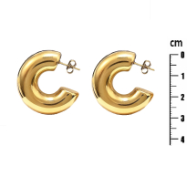 Photo of Stainless Steel Earrings IP Gold