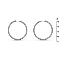 Photo de Stainless Steel Earrings 