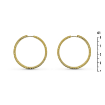 Photo de Stainless Steel Earrings IP Gold