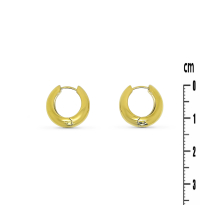 Photo de Stainless Steel Earrings 