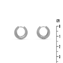 Photo de Stainless Steel Earrings 