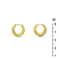 Photo de Stainless Steel Earrings IP Gold