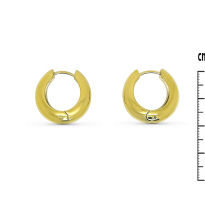 Photo de Stainless Steel Earrings IP Gold
