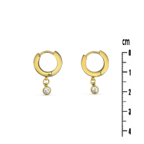 Photo de Stainless Steel Earrings 