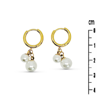 Photo de Stainless Steel Earrings 