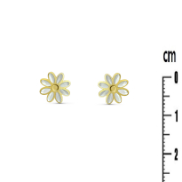 Photo de Stainless Steel Earrings IP Gold