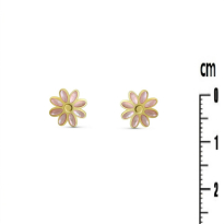 Photo de Stainless Steel Earrings 