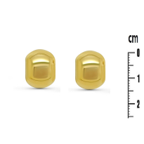 Photo de Stainless Steel Earrings IPG