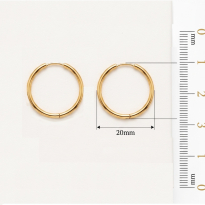 Photo de Stainless Steel Earrings IP Gold 20mm