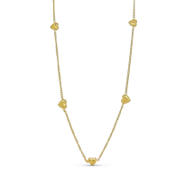 Photo de Stainless Steel Necklace  IPG 40+5 cm