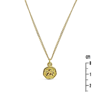 Photo de Collier en acier Dore 40+5cm