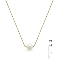 Photo de Stainless Steel Necklace  IPG 40+5 cm 6mm 