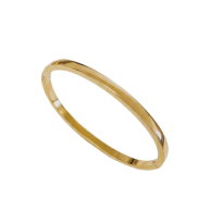 Photo de Stainless Steel Bangle IP Gold
