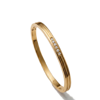 Photo de Stainless Steel Bangle IP Gold