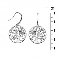 Photo de Sterling Silver 925 earrings 