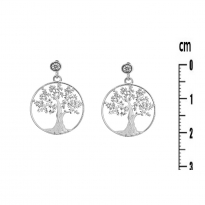 Photo de Sterling Silver 925 earrings 