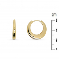 Photo de Gold Filled 18kt Earrings