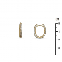 Photo de Gold Filled 18kt Earrings