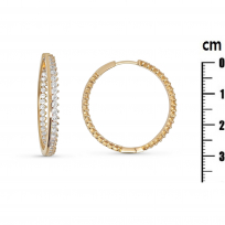 Photo de Gold Filled 18kt Earrings