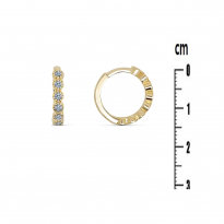 Photo de Gold Filled 18kt Earrings