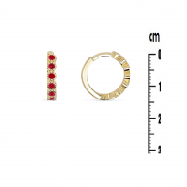 Photo of Gold Filled 18kt Earrings Red corundum