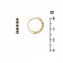 Photo of Gold Filled 18kt Earrings Blue CZ