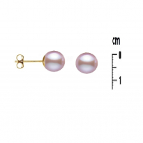 Photo de Gold Filled 18kt Earrings Freshwater pearl 7mm violet