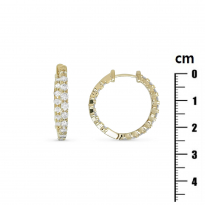 Photo de Gold Filled 18kt Earrings