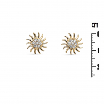 Photo de Gold Filled 18kt Earrings