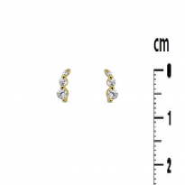 Photo de Gold Filled 18kt Earrings