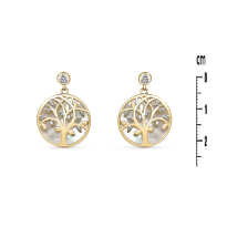 Photo de Gold Filled 18kt Earrings 